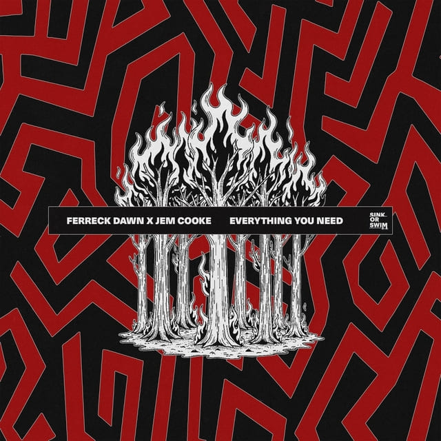 Ferreck Dawn, Jem Cooke - Everything You Need (Extended Mix)