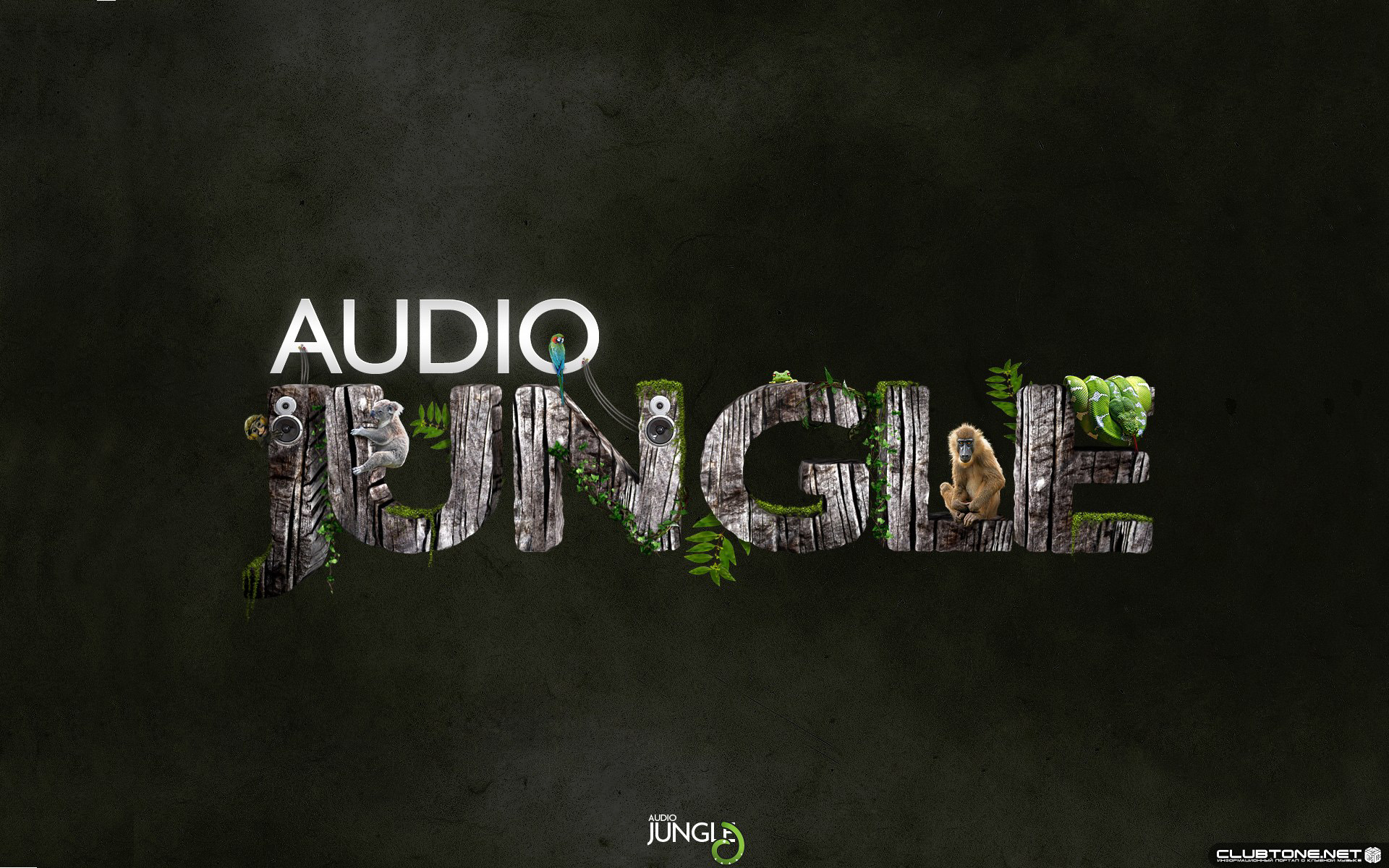 Audio Jungle  