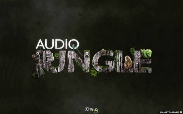 Audio Jungle предпросмотр