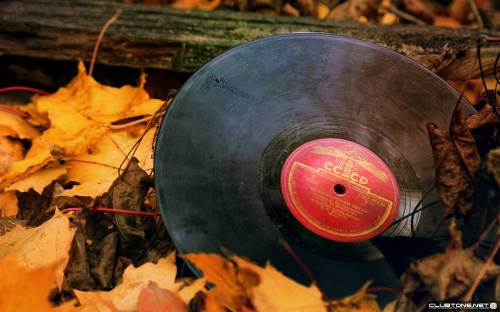 Vinyl autumn предпросмотр