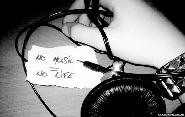 No music No life предпросмотр