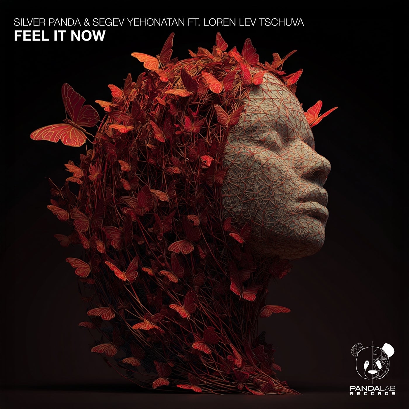 Silver Panda, Segev Yehonatan, Loren Lev Tschuva - Feel It Now (feat. Loren Lev Tschuva) (Extended Mix)