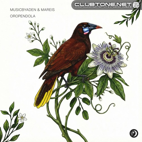 MusicbyAden & Mareis - Oropendola (Original Mix)