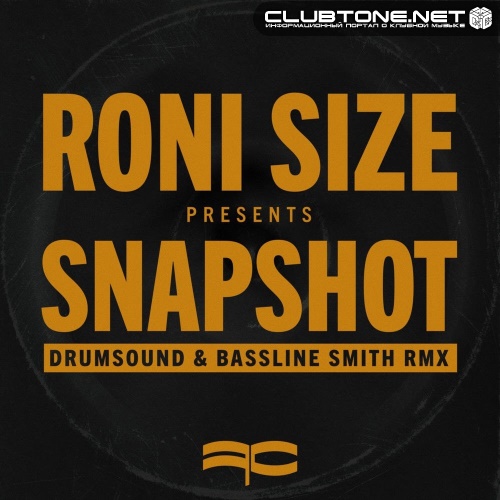Roni Size - Snapshot (Drumsound & Bassline Smith Remix)