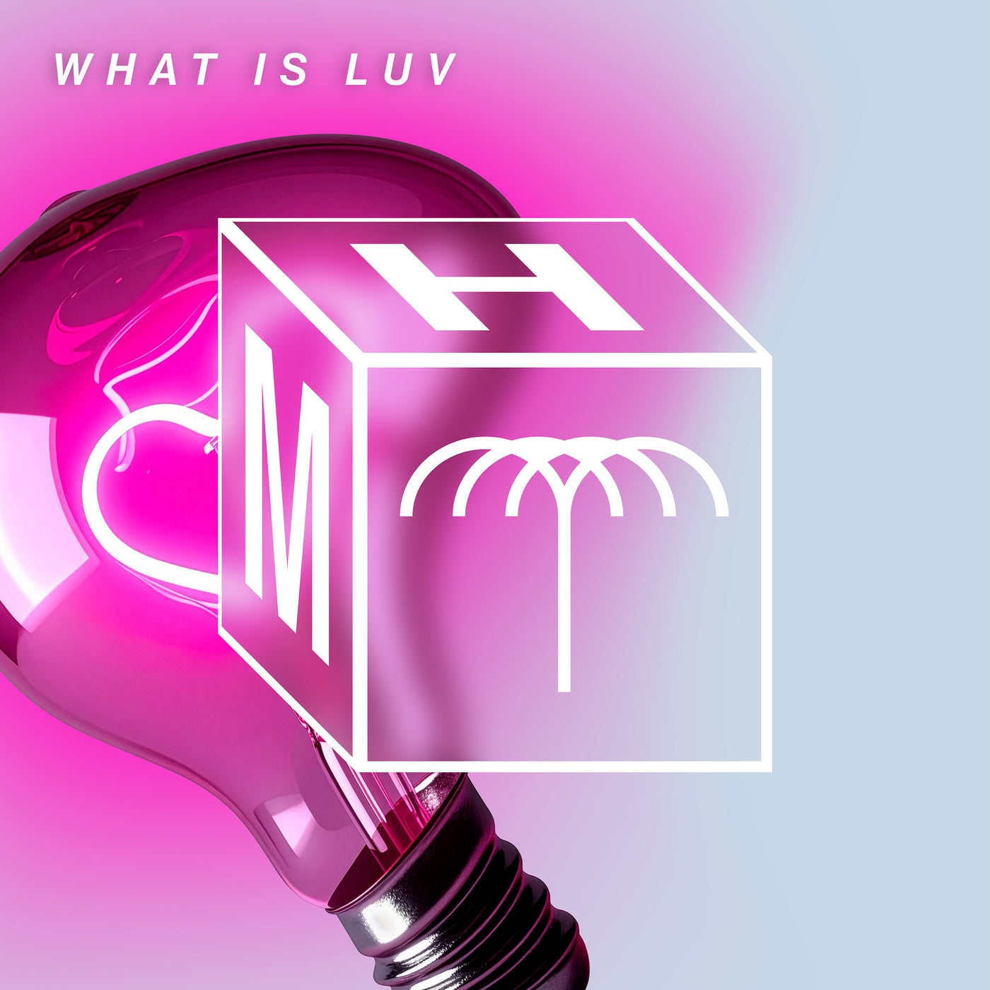 Rafael, Mita Gami - What Is Luv (Extended Mix)