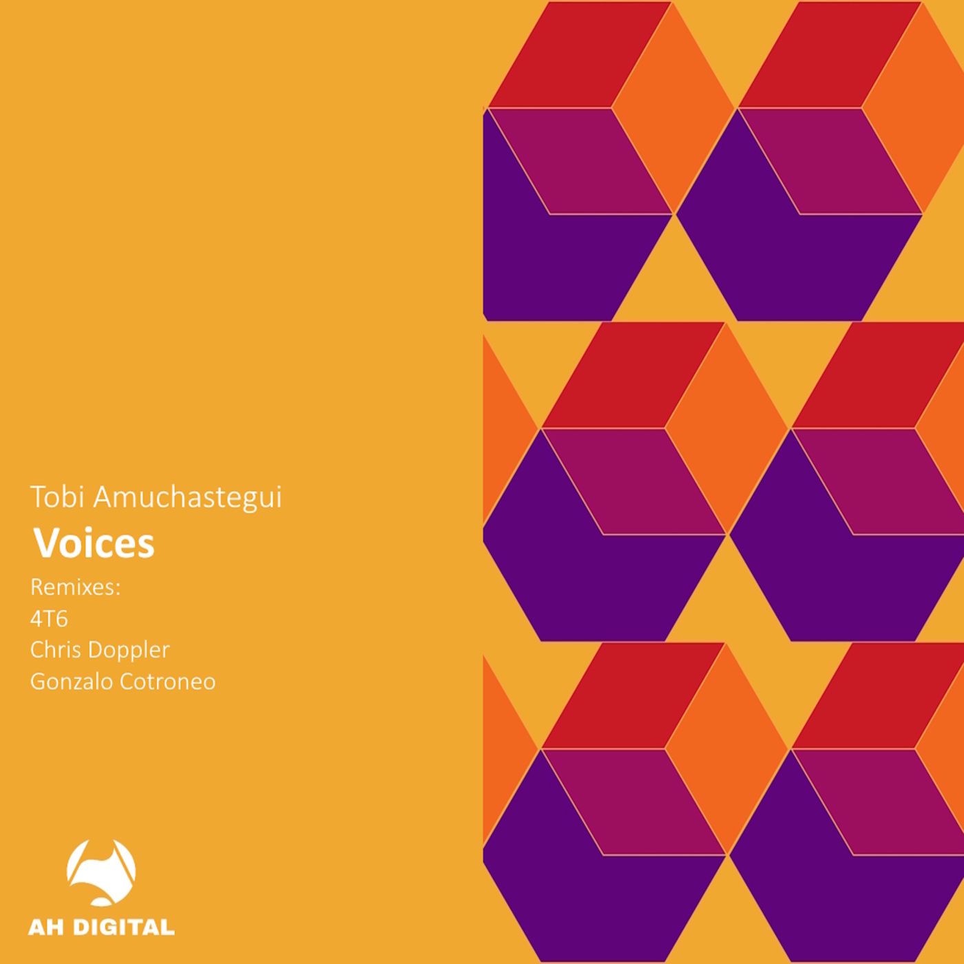 Tobi Amuchastegui, 4T6 - Voices (4T6 Remix)