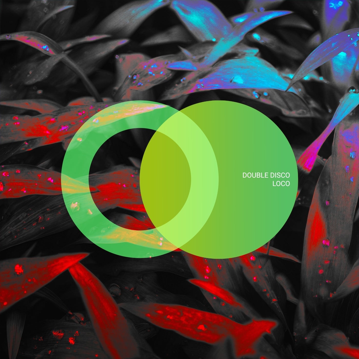 Double Disco - Loco (Original Mix)