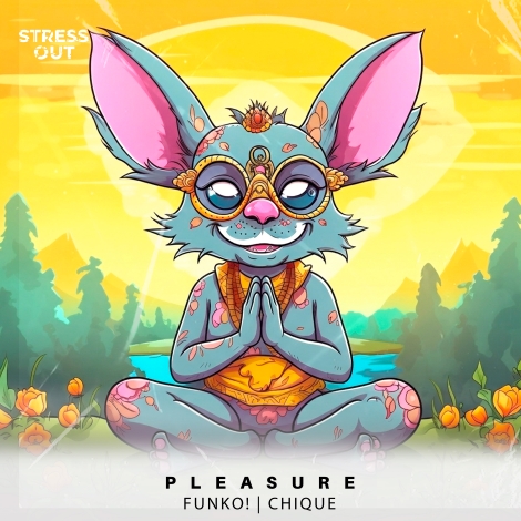 FUNKO!, Chique - Pleasure (Extended Mix)