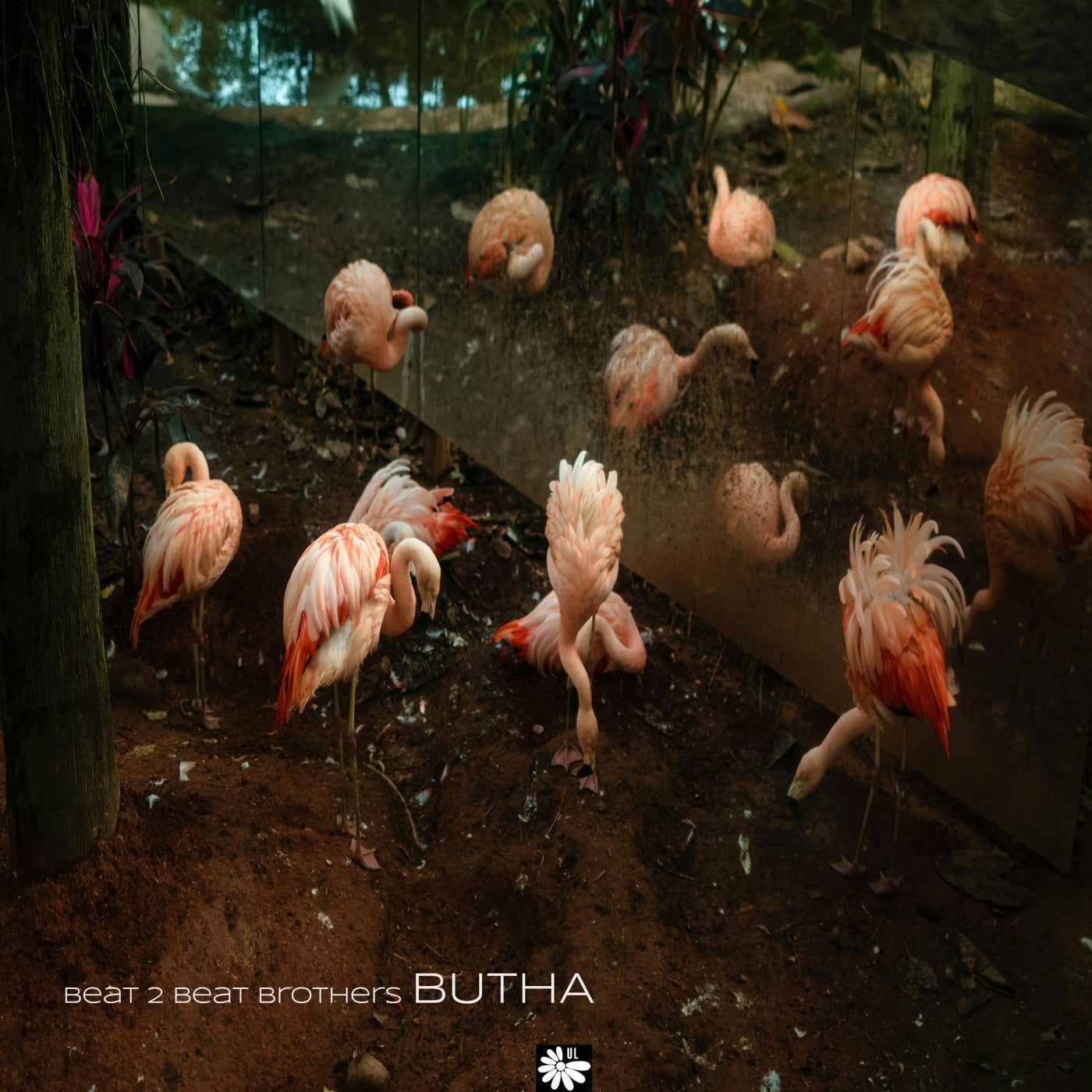 Beat 2 Beat Brothers - Butha (Original Mix)