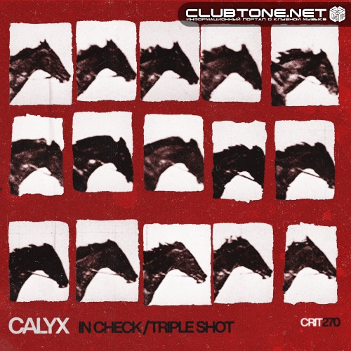 Calyx - In Check (Original Mix)