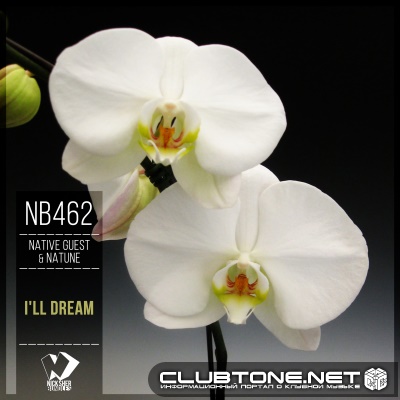 Native Guest & Natune - I'll Dream (Original Mix)