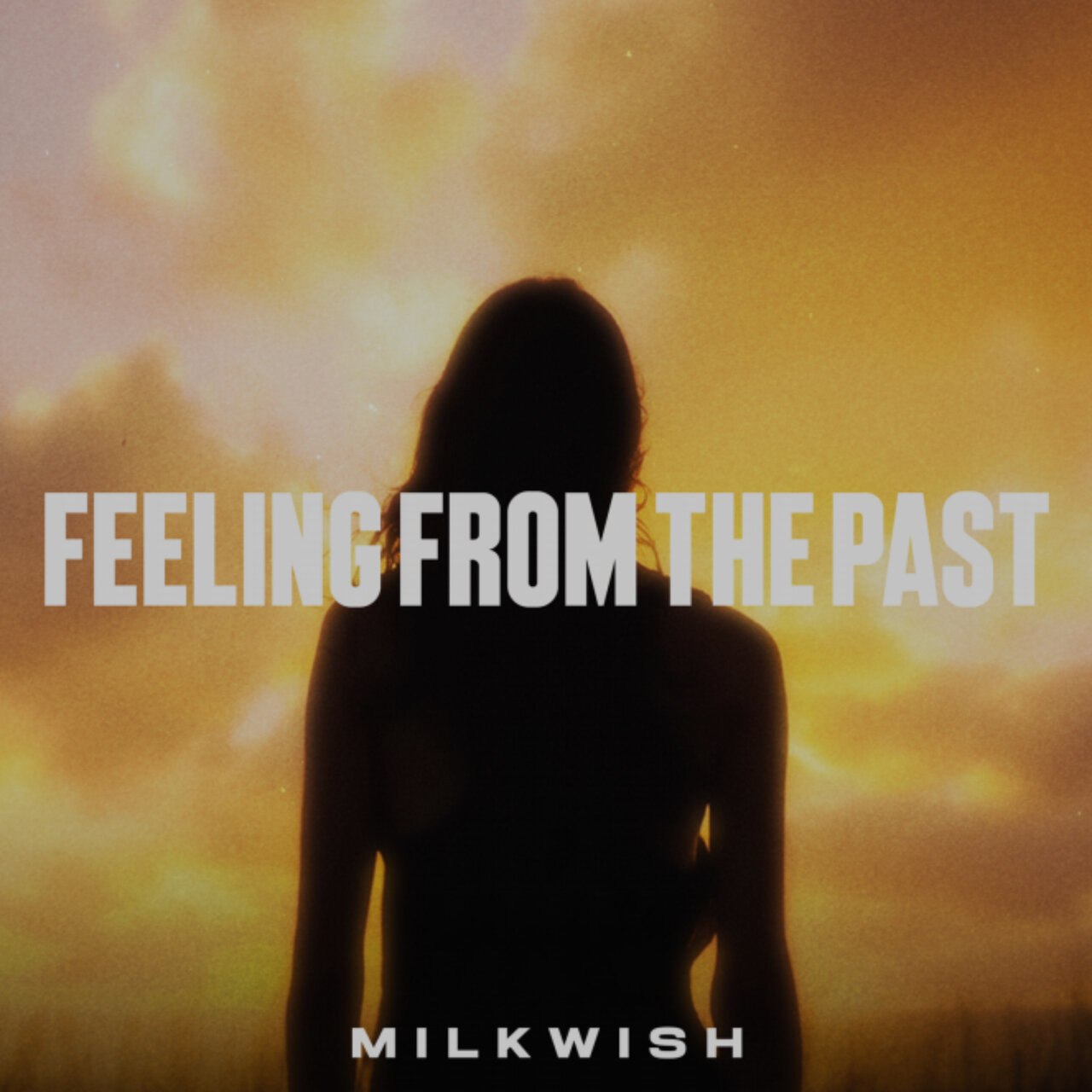 Milkwish - Feeling From The Past (Extended Mix)