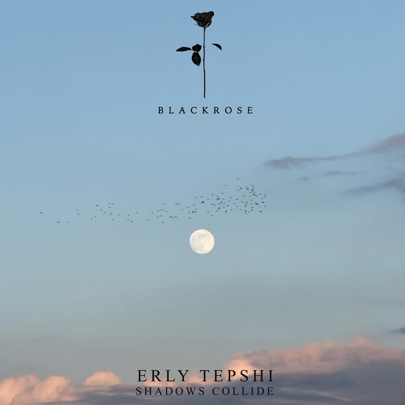 Erly Tepshi - Shadows Collide (Original Mix)