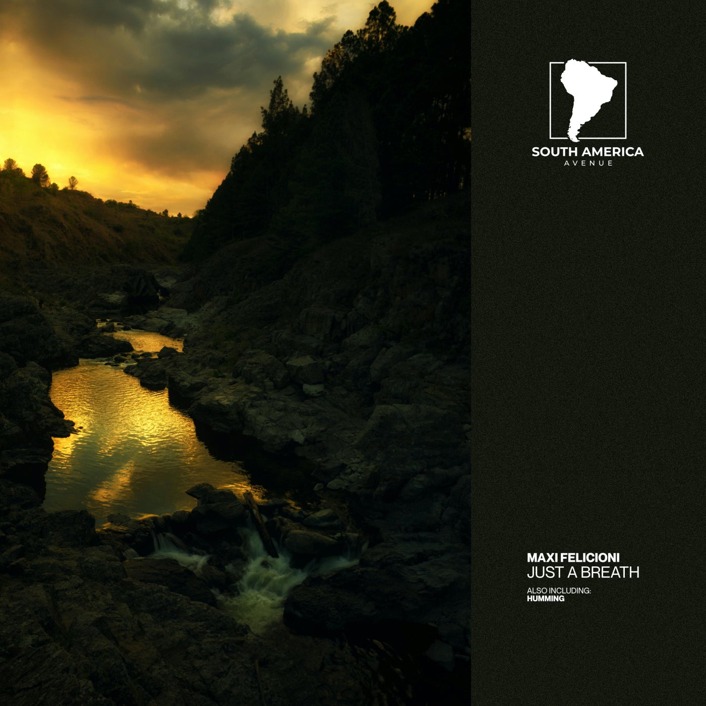 Maxi Felicioni - Humming (Original Mix)