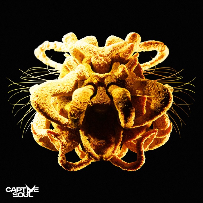 NURAN - Stay Close  (Extended Mix)