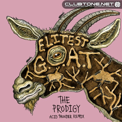 Sleaford Mods, The Prodigy feat. Aldous Harding - Elitest G.O.A.T. (The Prodigy Acid Thunder Mix)