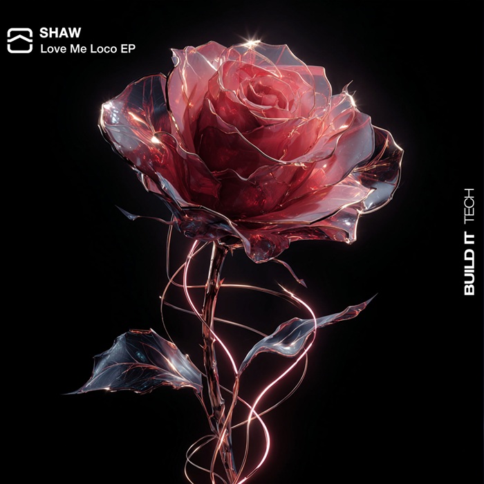 Shaw - Love Me Loco (Original Mix)