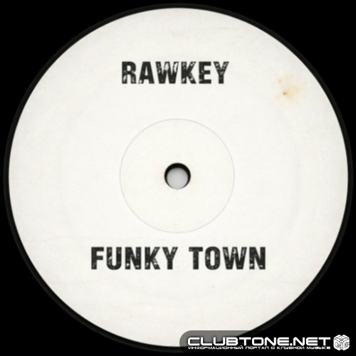 Lipps Inc. - Funky Town (Rawkey Remix)