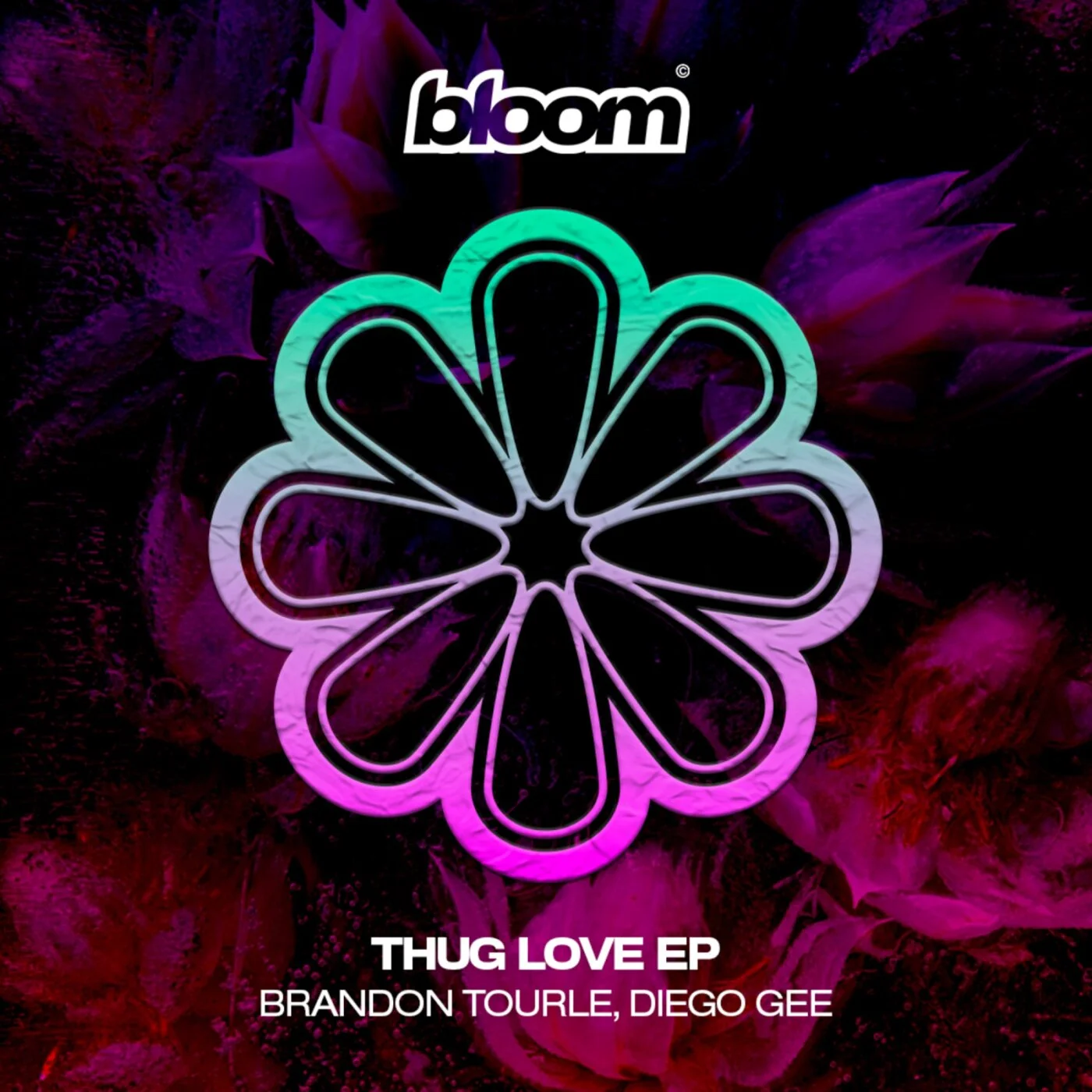 Brandon Tourle, Diego Gee (UK) - Talk Like That (Original Mix)