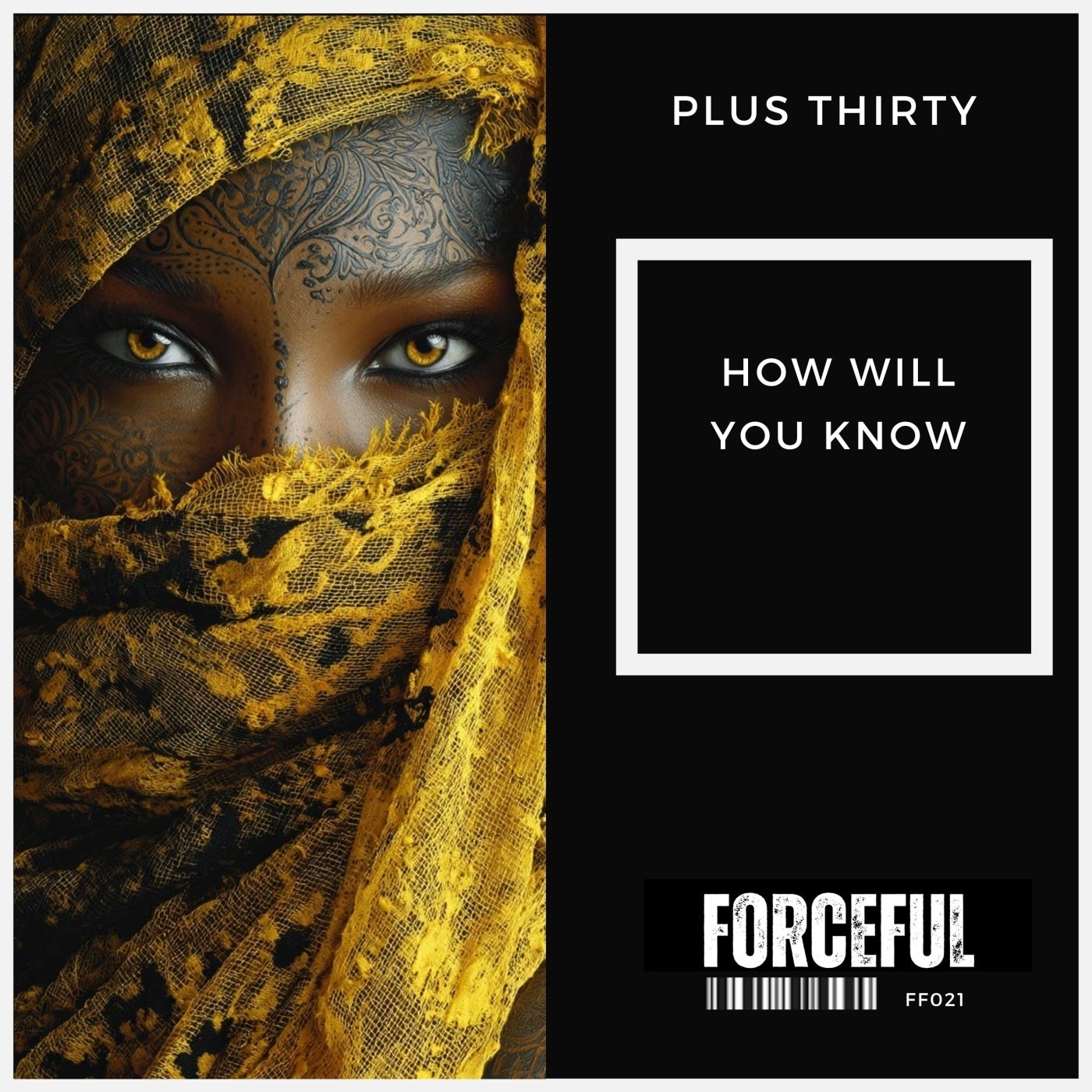 Plus Thirty - How Will You Know (Original Mix)