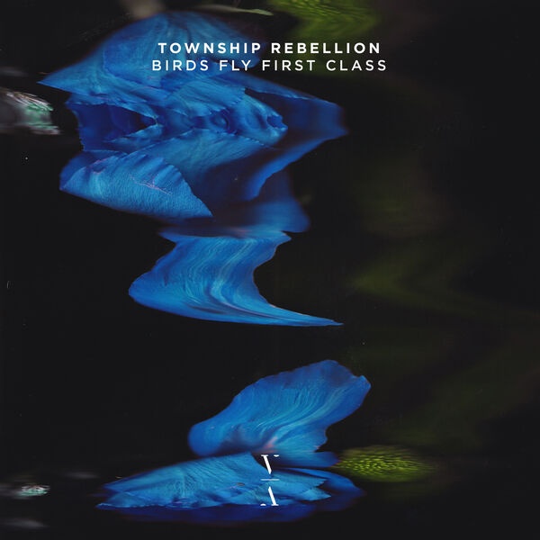 Township Rebellion - Birds Fly First Class (Original Mix)