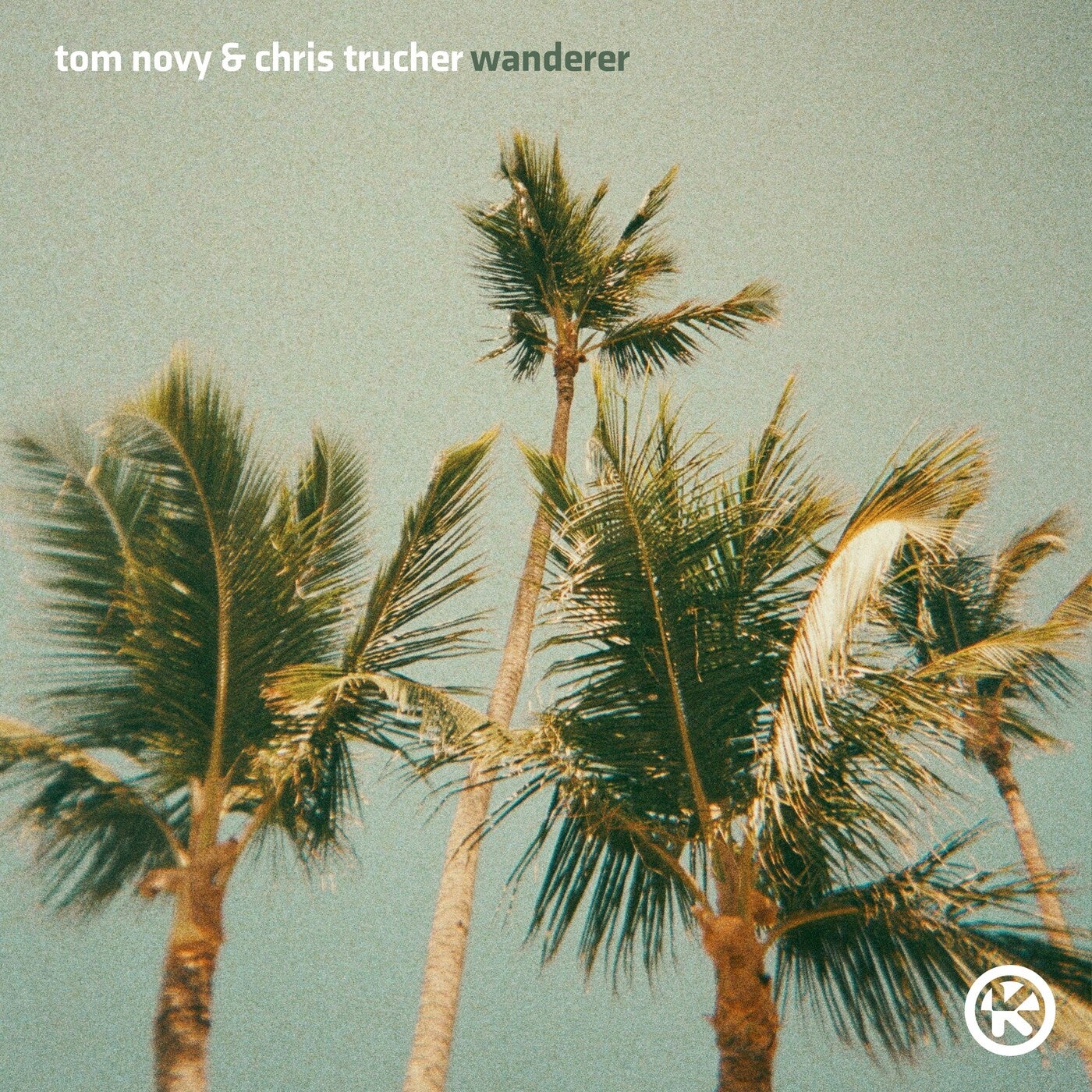 Tom Novy, Chris Trucher - Wanderer (Extended Mix)