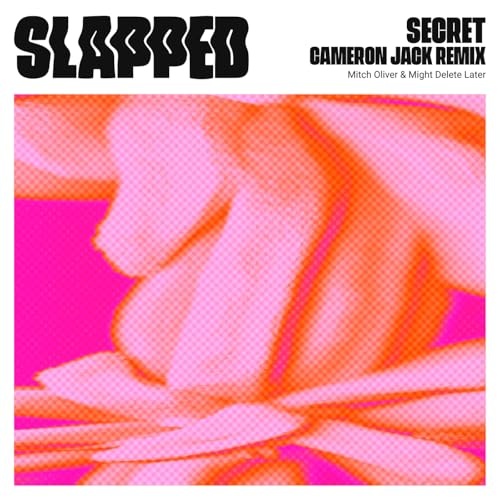Mitch Oliver & Might Delete Later - Secret (Cameron Jack Remix)
