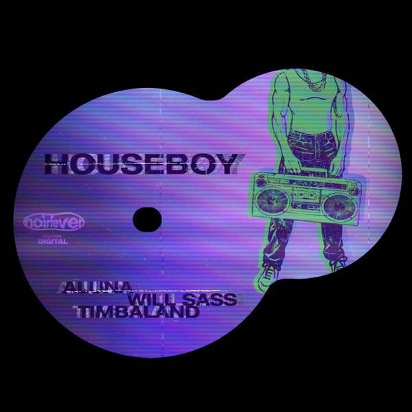Aluna, Will Sass, Timbaland - Houseboy (Extended Mix)