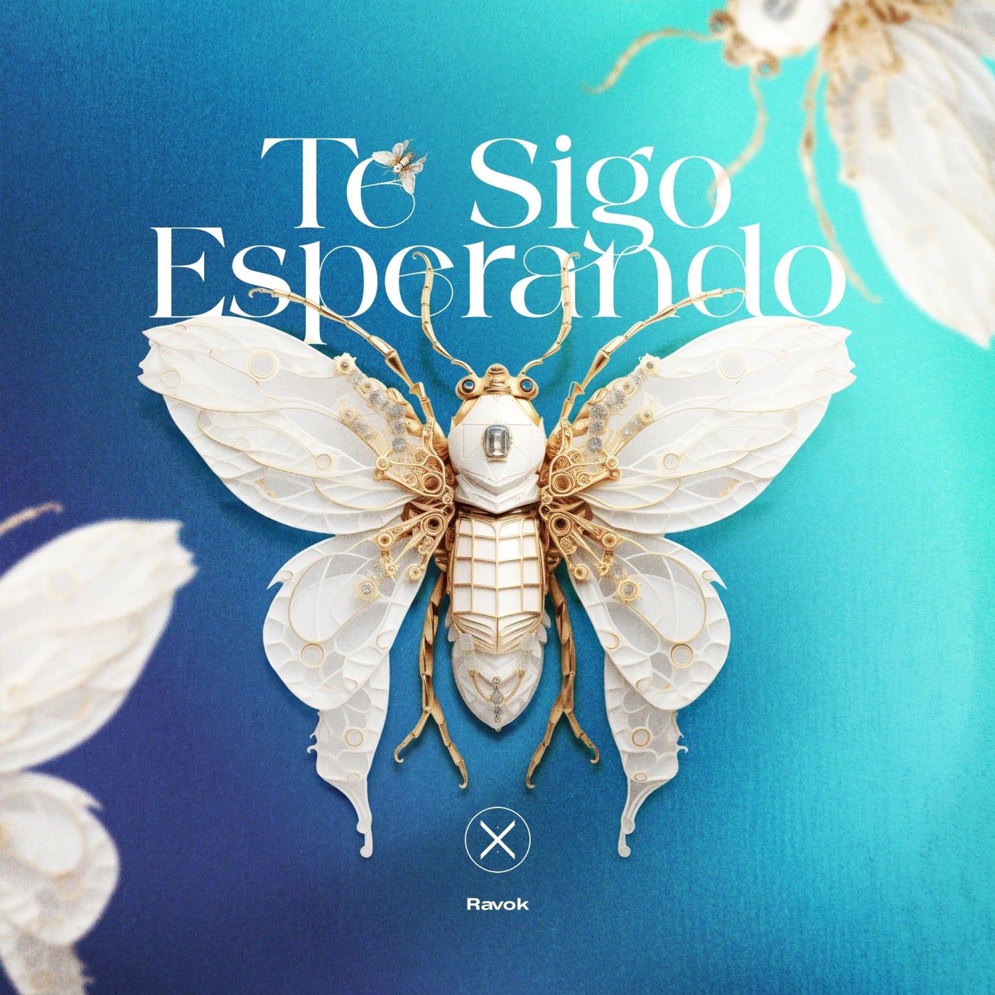 Ravok - Te Sigo Esperando (Extended Mix)