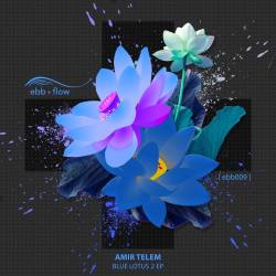 Amir Telem - Apology (Original Mix)