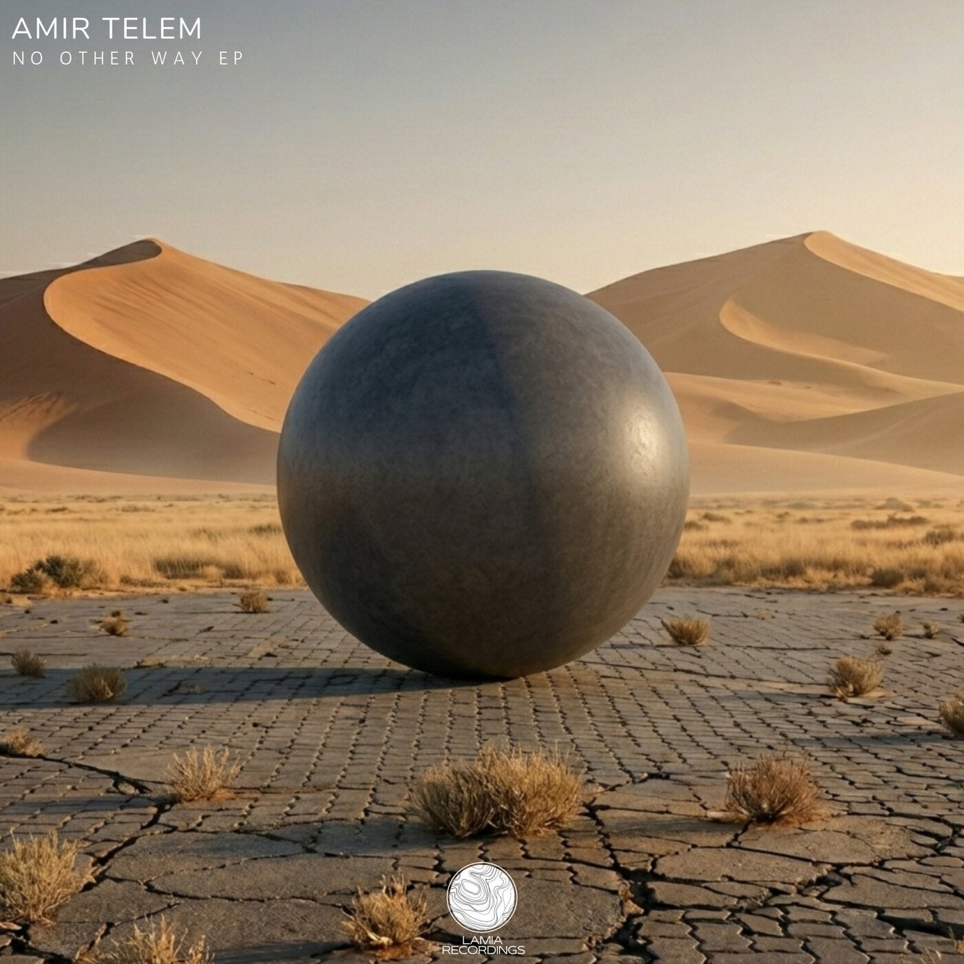 Amir Telem - No Other Way (Original Mix)