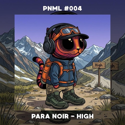Para Noir - High (Original Mix)