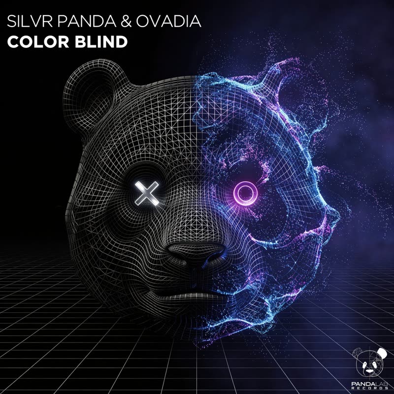 Silver Panda, Ovadia - Color Blind (Extended Mix)