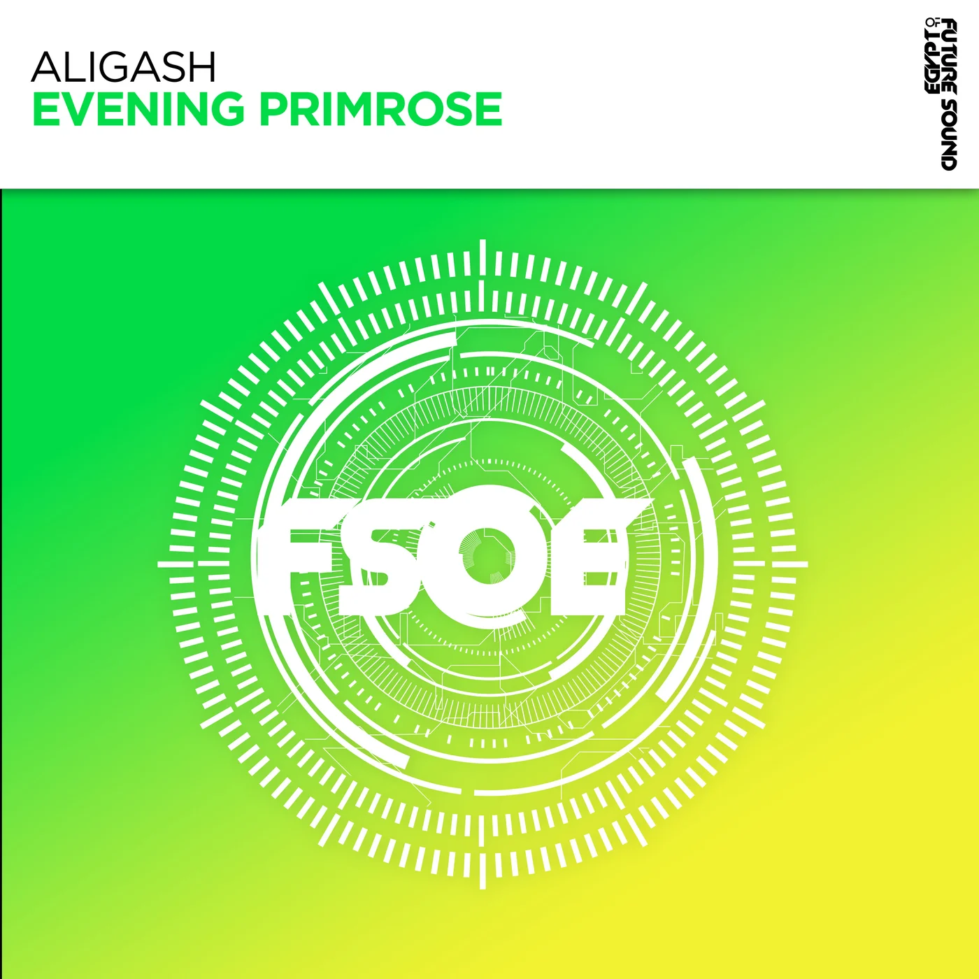 ALIGASH - Evening Primrose (Extended Mix)