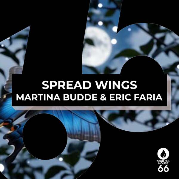 Eric Faria, Martina Budde - Spread Wings (Original Mix)