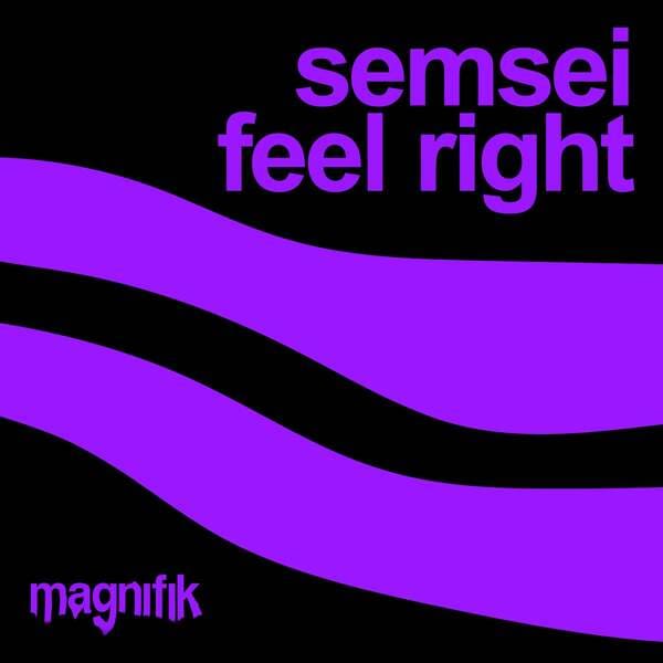Semsei - Feel Right  (Original Mix)