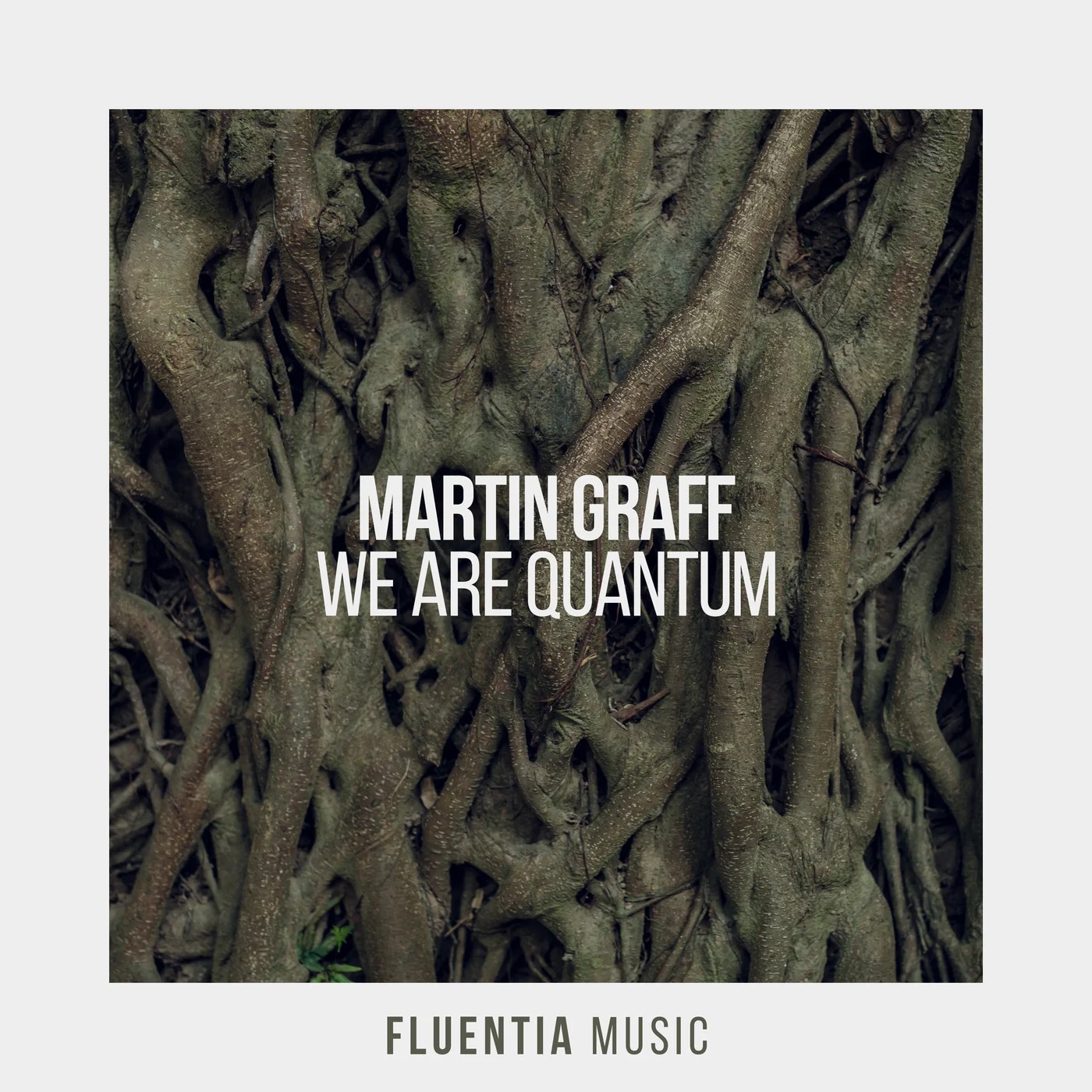 Martin Graff - We Are Quantum (Extended Mix)