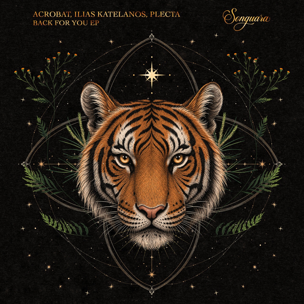 Ilias Katelanos, Acrobat, Plecta - Selective Dreams (Original Mix)