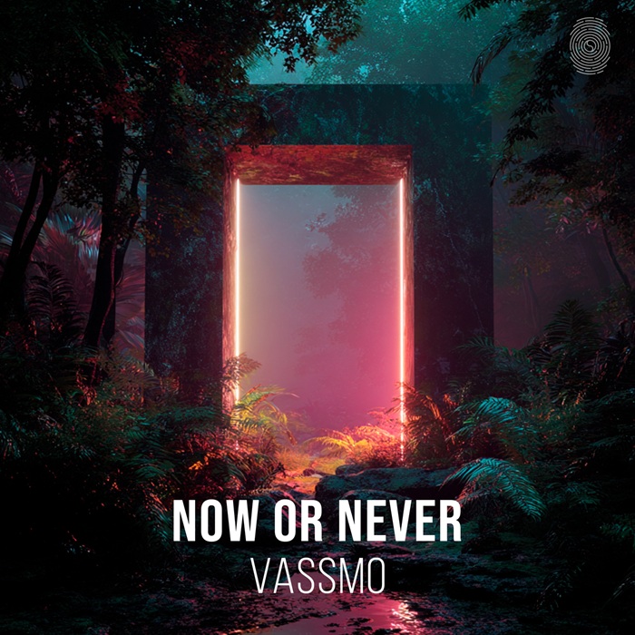 Vassmo - Now Or Never (Extended Mix)