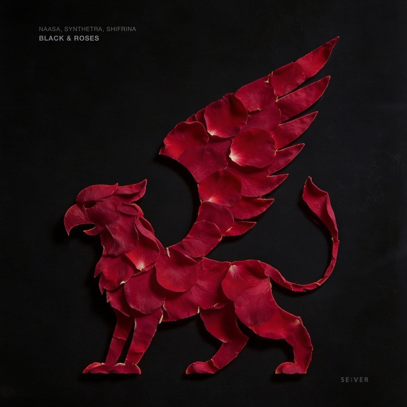 NAASA, Shifrina, Synthetra - Black & Roses (Extended Mix)