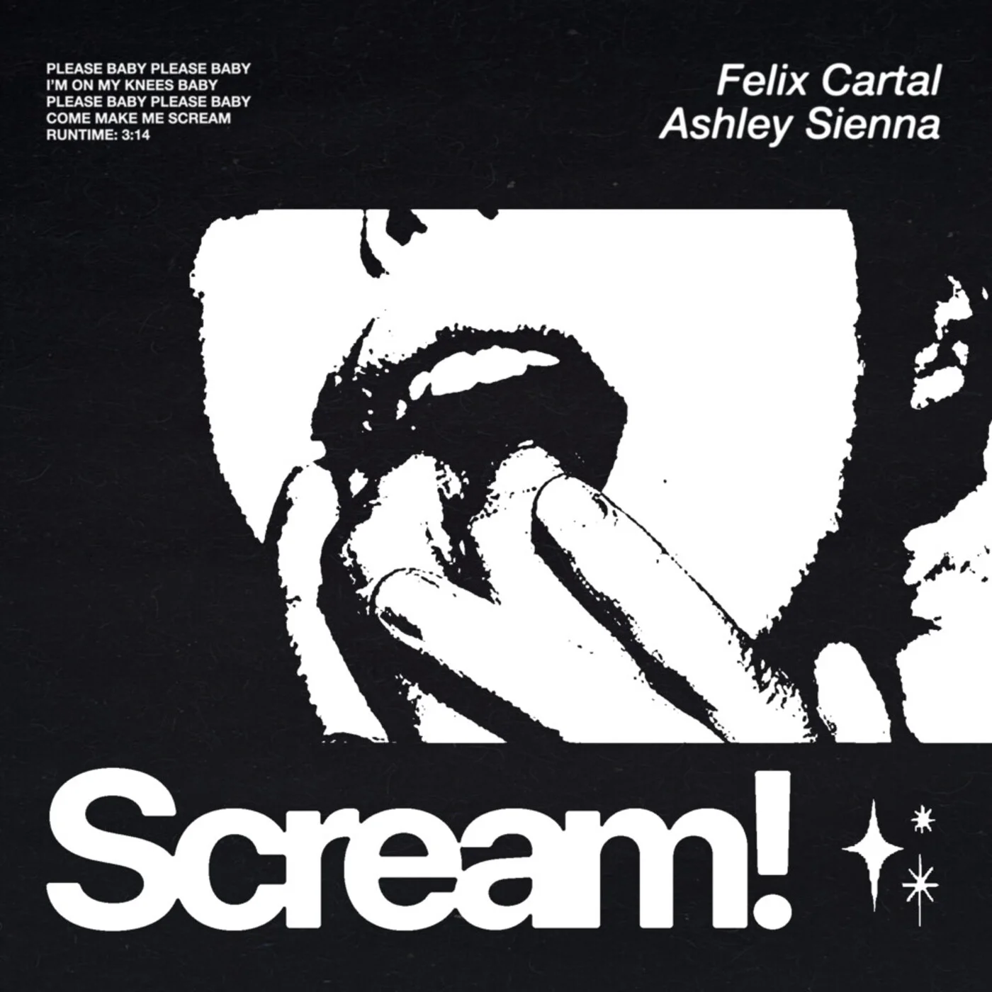 Felix Cartal, Ashley Sienna - Scream! (Extended Mix)