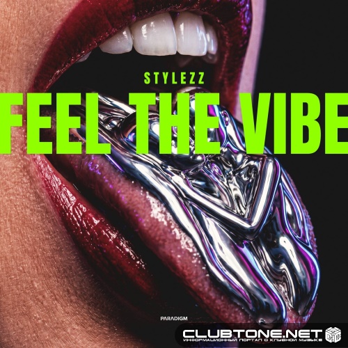 Stylezz - Feel The Vibe (Extended Mix)