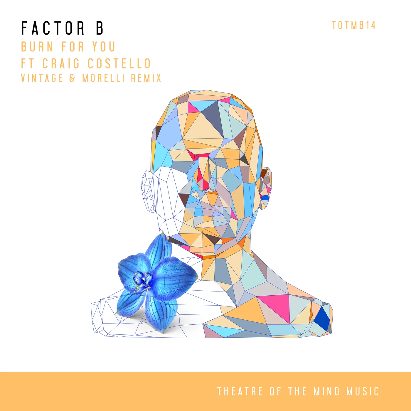 Factor B ft. Craig Costello - Burn For You (Vintage & Morelli Extended Remix)