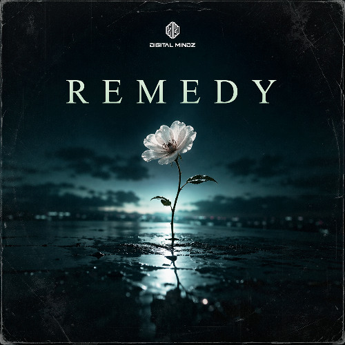 Digital Mindz - Remedy (DJ Mix)