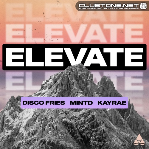 Disco Fries, Kayrae, Mintd - Elevate (Extended Mix)