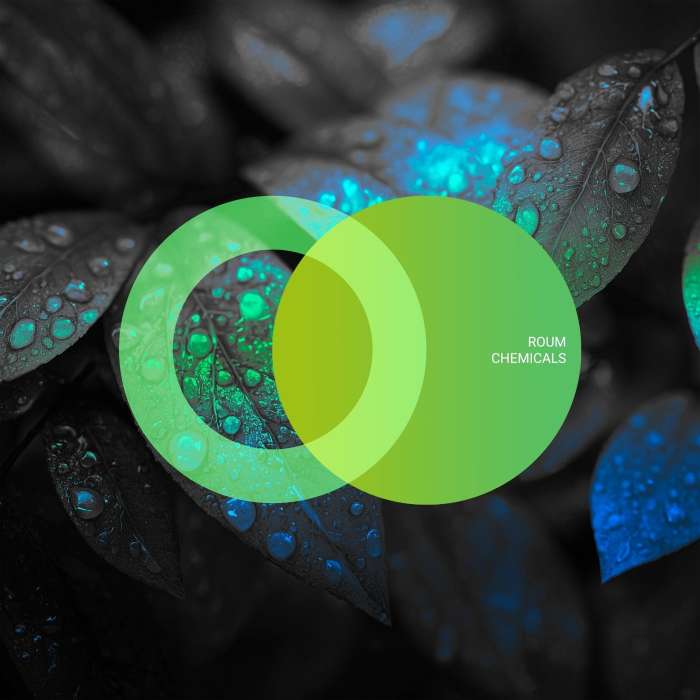 Roum - Follow You (Original Mix)