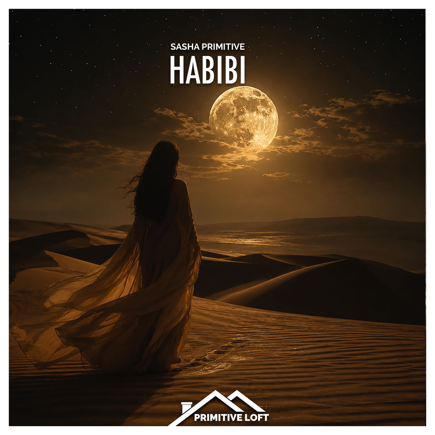 Sasha Primitive - Habibi (Original Mix)