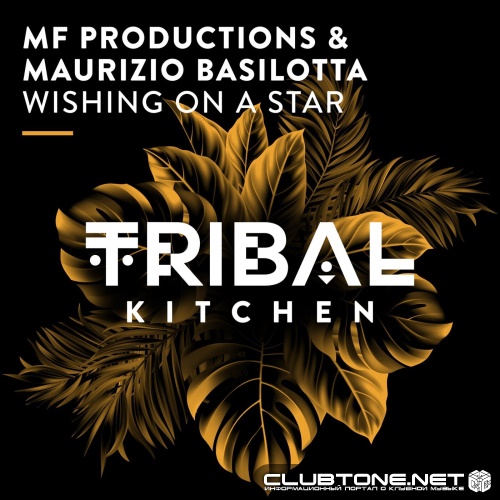 Maurizio Basilotta, MF Productions - Wishing on a Star (Extended Mix)