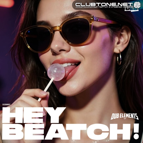 Dub Elements - Hey Beatch! (Original Mix)