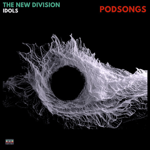 The New Division & Podsongs - Idols (Original Mix)